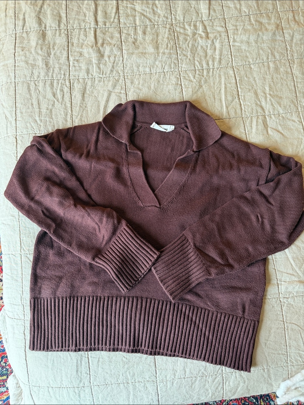 Everlane cotton brown sweater